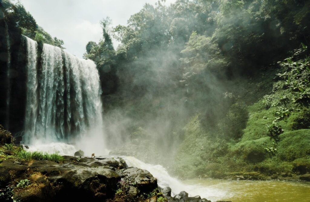 MỘT NGÀY LẠC TRÔI Ở BẢO LỘC: HÀNH TRÌNH BÍ ẨN TỪ BIỂN MÂY ĐẾN LY TRÀ CHIỀU 2 456
