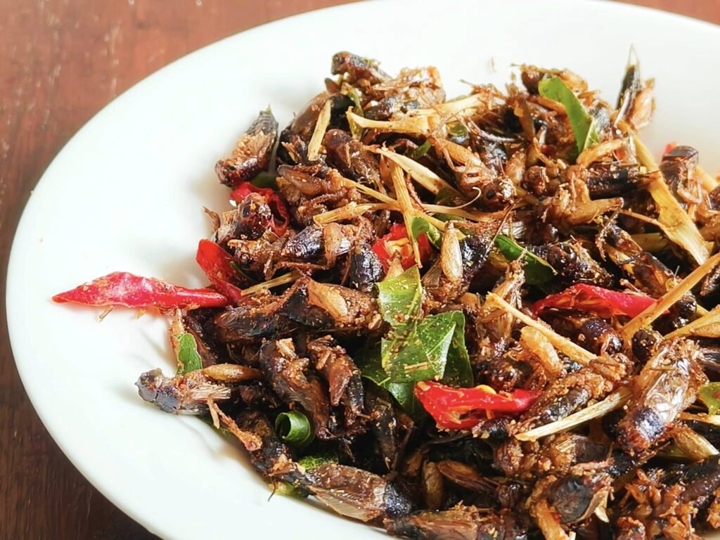 "Ăn thử là nghiện" – Những món độc lạ ở Bảo Lộc mà bạn chưa từng nghe đến 4 464671840 1069343625090679 6108895521569387869 n