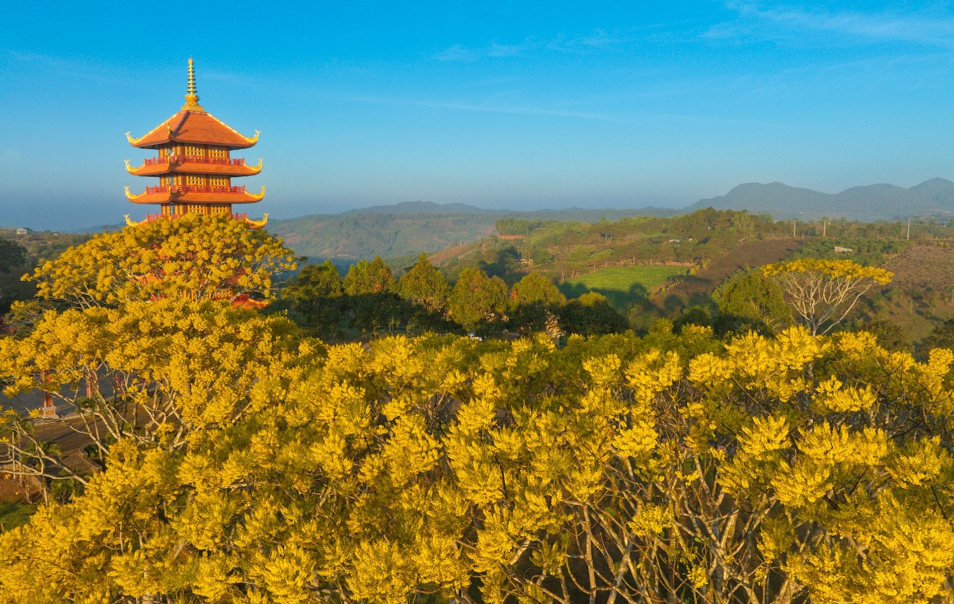 476009877 10162206167924757 5426712381530322612 n 1123