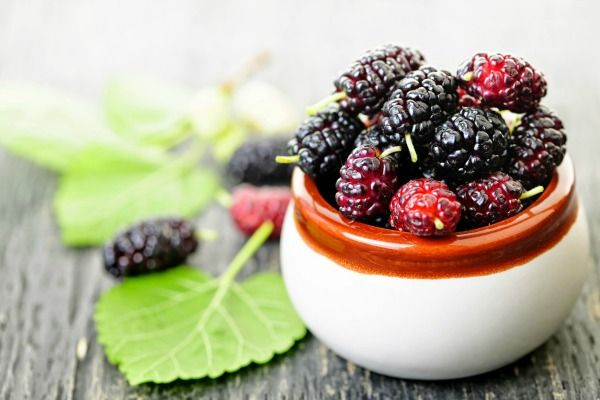7 Món Đặc Sản Ở Bảo Lộc Du Khách Nhất Định Phải Thử 5 Dâu tằm Bảo Lộc – Đặc sản ở Bảo Lộc.