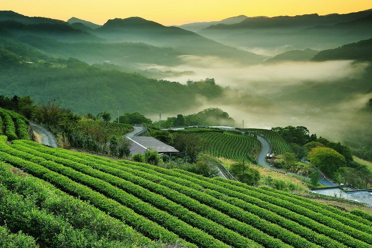 Lý Do Nên Thăm Bảo Lộc Ngay Cả Khi Bạn Chưa Có Kế Hoạch Du Lịch 4 Bảo Lộc
