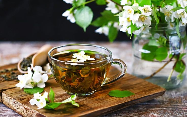 Trà Bảo Lộc – Tinh Hoa Đất Trời: Top 6 Loại Trà Phải Thử Ngay! 5 Trà Bảo Lộc
