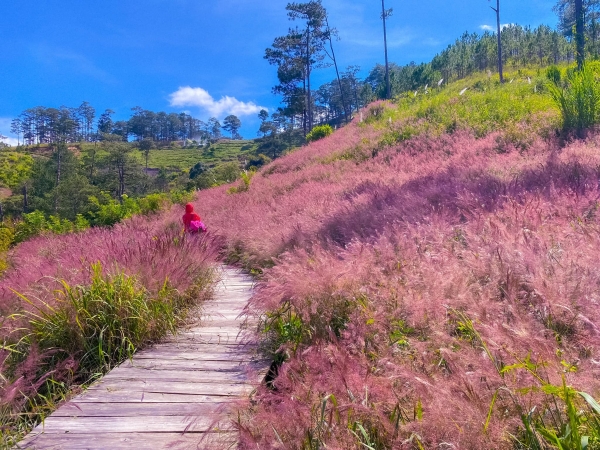 1639396578 263910822 1059253794910664 8497625313137483210 n