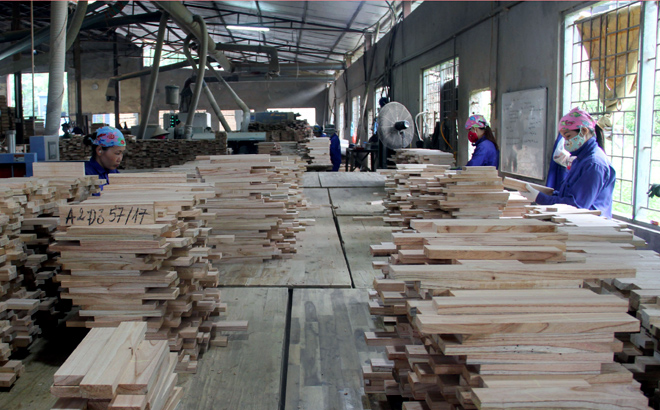 Doanh Nghiệp Bảo Lộc – Hơn 1.500 Công Ty Hoạt Động, Cơ Hội Đầu Tư Và Việc Làm 2 Doanh nghiệp Bảo Lộc