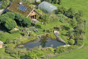 Bo pho ve rung Trao luu nhat thoi hay xu huong trong tuong lai 1