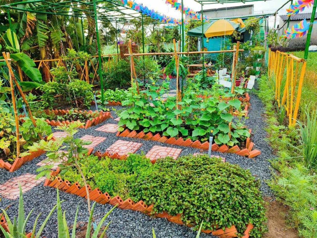 Bỏ Phố Về Vườn – Hành Trình Tìm Lại Bình Yên Giữa Cao Nguyên 2 bỏ phố về vườn