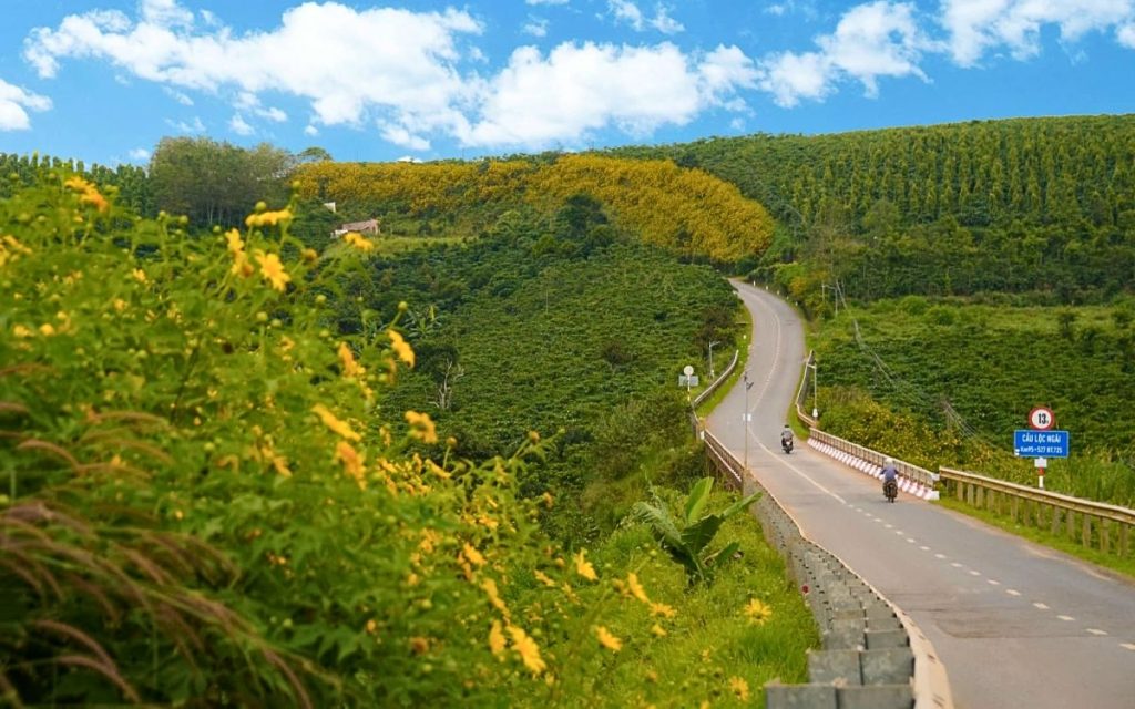 cau dan mach loc ngai bao lam 1024x640 1