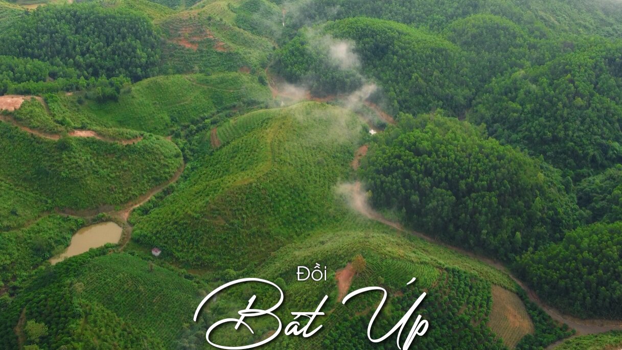 doi bat up 1