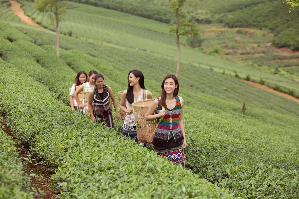 b4I0QyRq3OKmeamrEVOSHs7kQnDpikRdNKhFs4v0