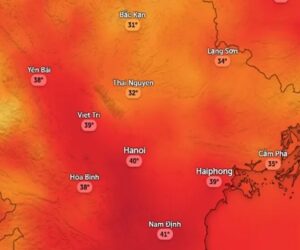 d 1750070174 338 width660height550