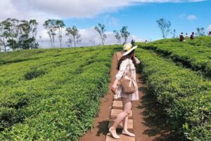 doi che bao loc tour bao loc du lich thu duc travel 01