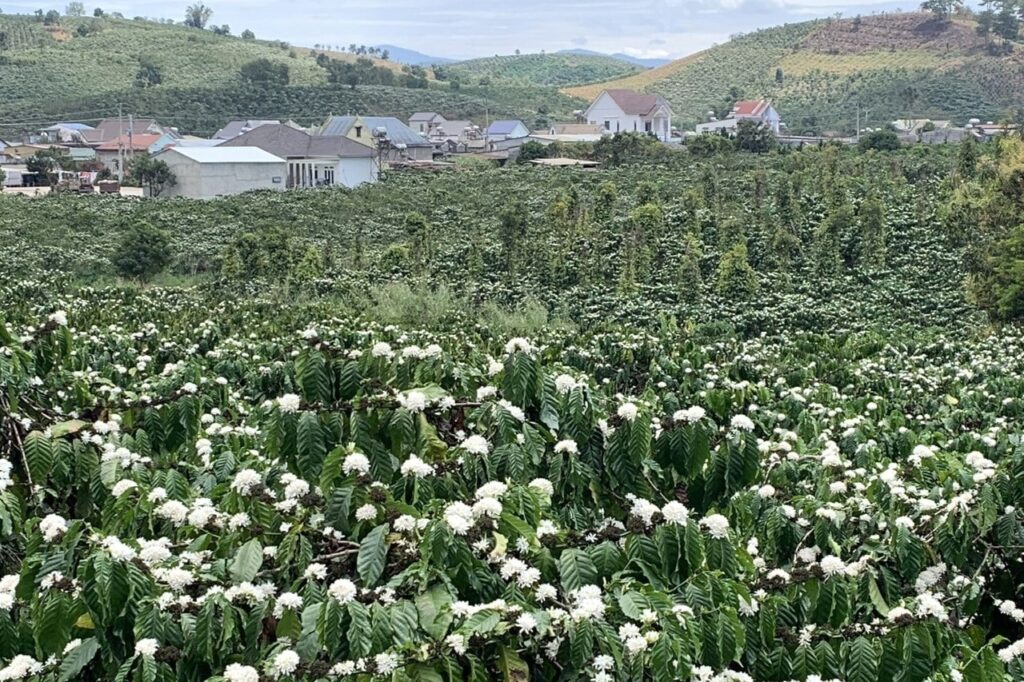 Lâm Đồng, nông nghiệp