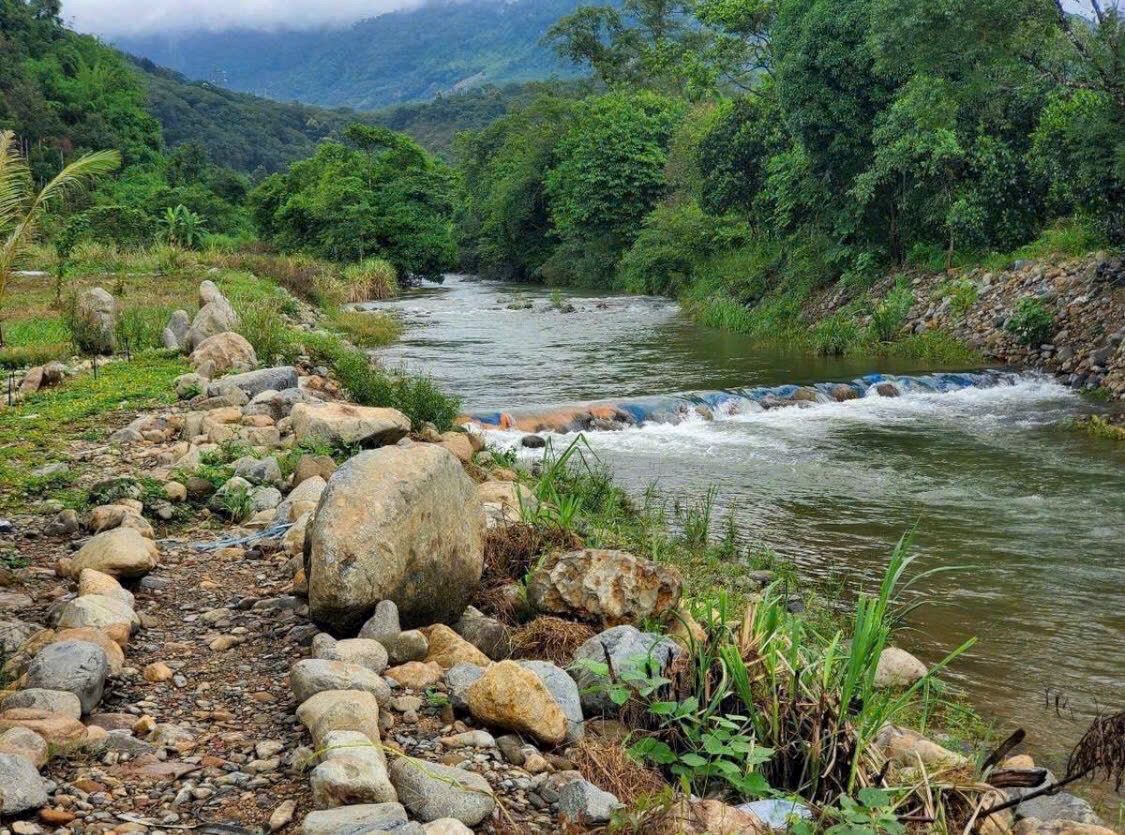 z7288599971572_1c35cd4e9dfa68bca9955ffa8b735a81