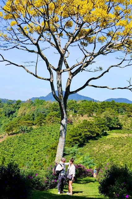 Di Linh – Bảo Lộc