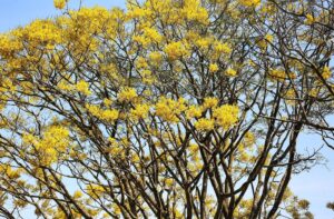 cdn.tcdulichtphcm.vn-upload-1-2026-images-2026-01-01-_1767233850-2