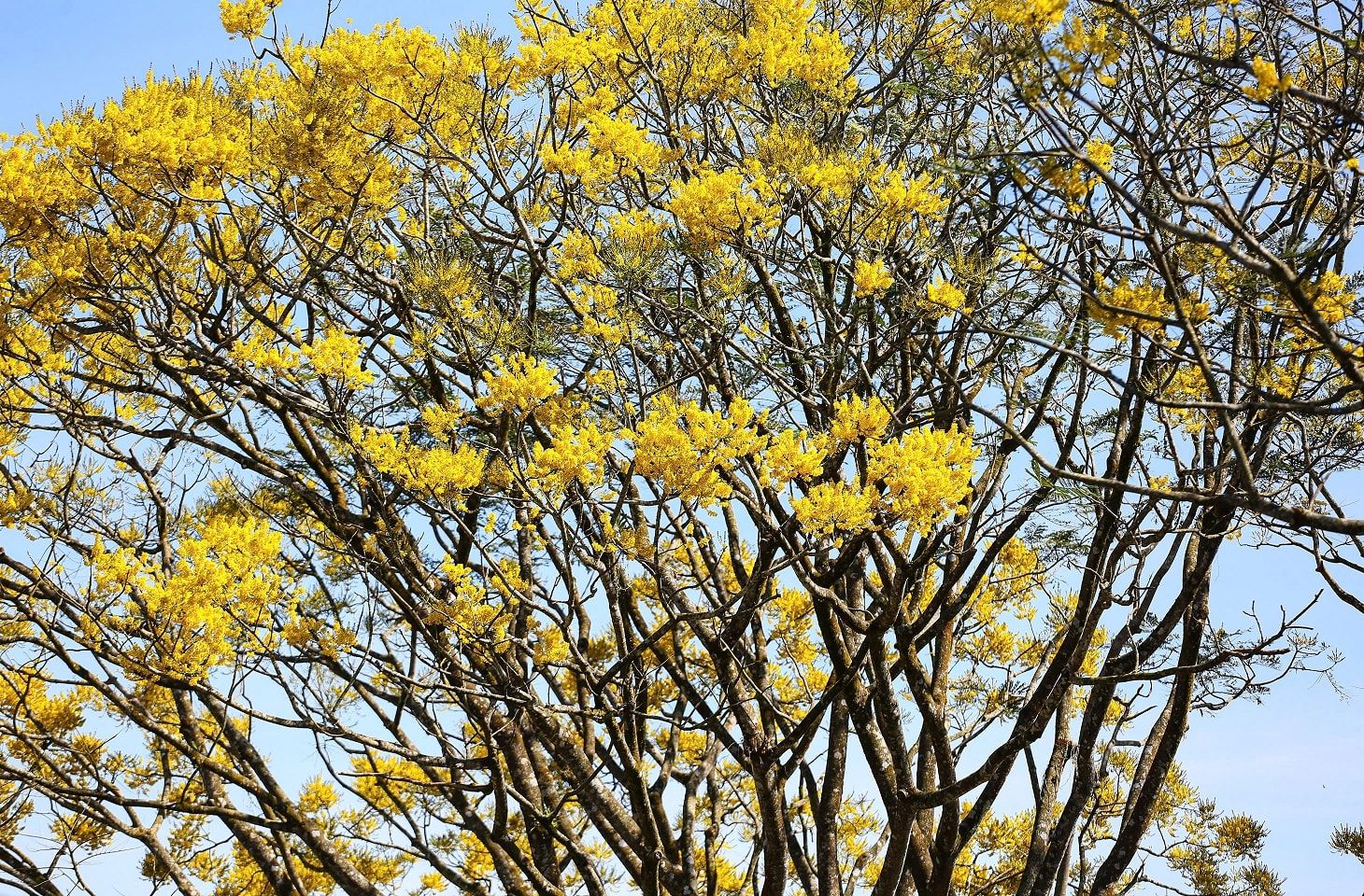 cdn.tcdulichtphcm.vn-upload-1-2026-images-2026-01-01-_1767233850-2