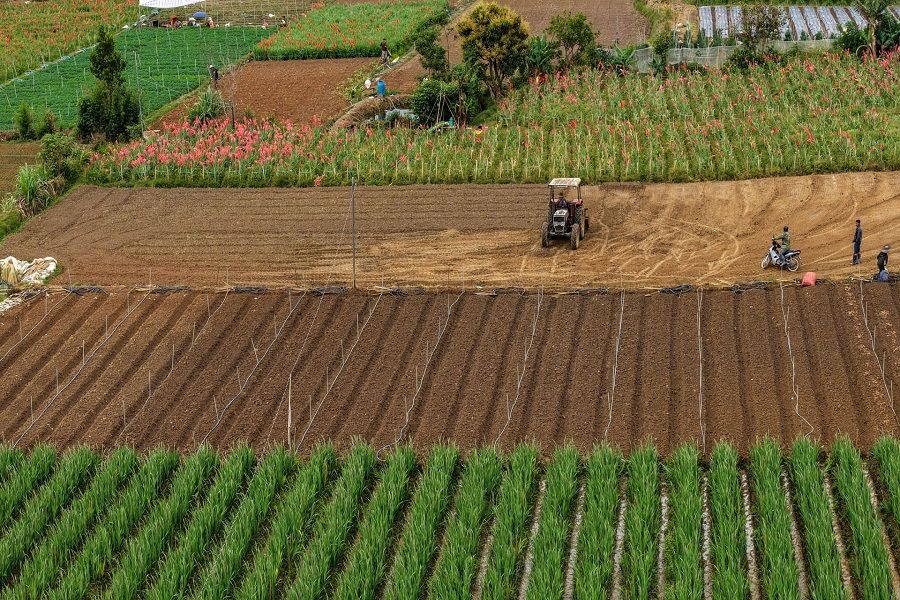 lam-dong-tu-lau-da-khang-dinh-vi-the-la-thu-phu-rau-hoa-va-cac-loai-nong-san-dac-san-cua-ca-nuoc-1775096099